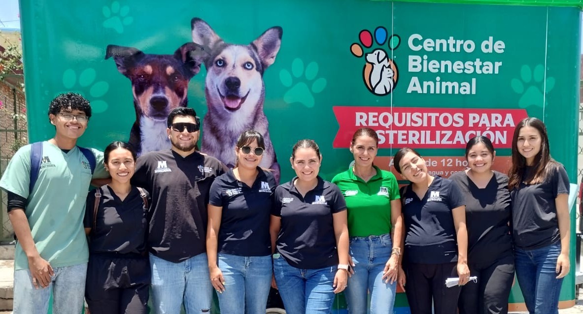 Esperan familia 21 mascotas rescatadas