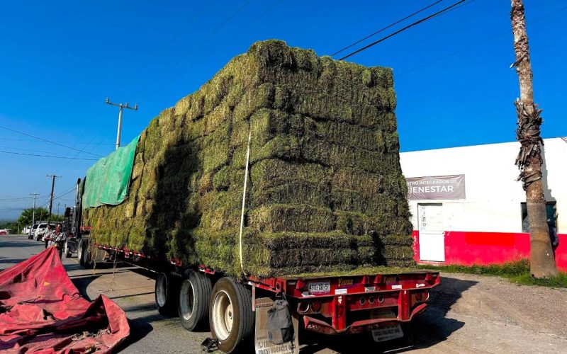 Fortalece Yesica al campo con 668 pacas de alfalfa