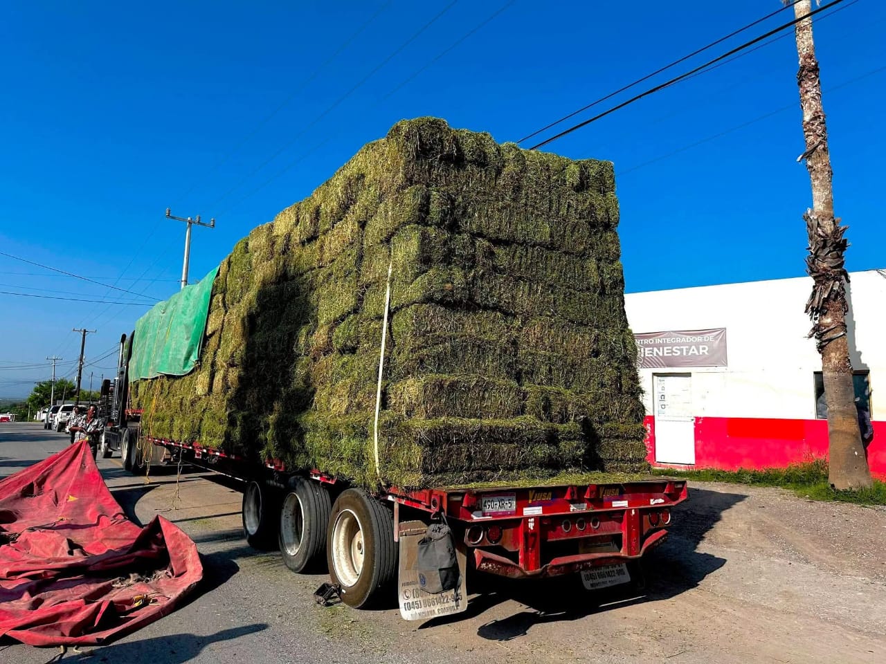 Fortalece Yesica al campo con 668 pacas de alfalfa