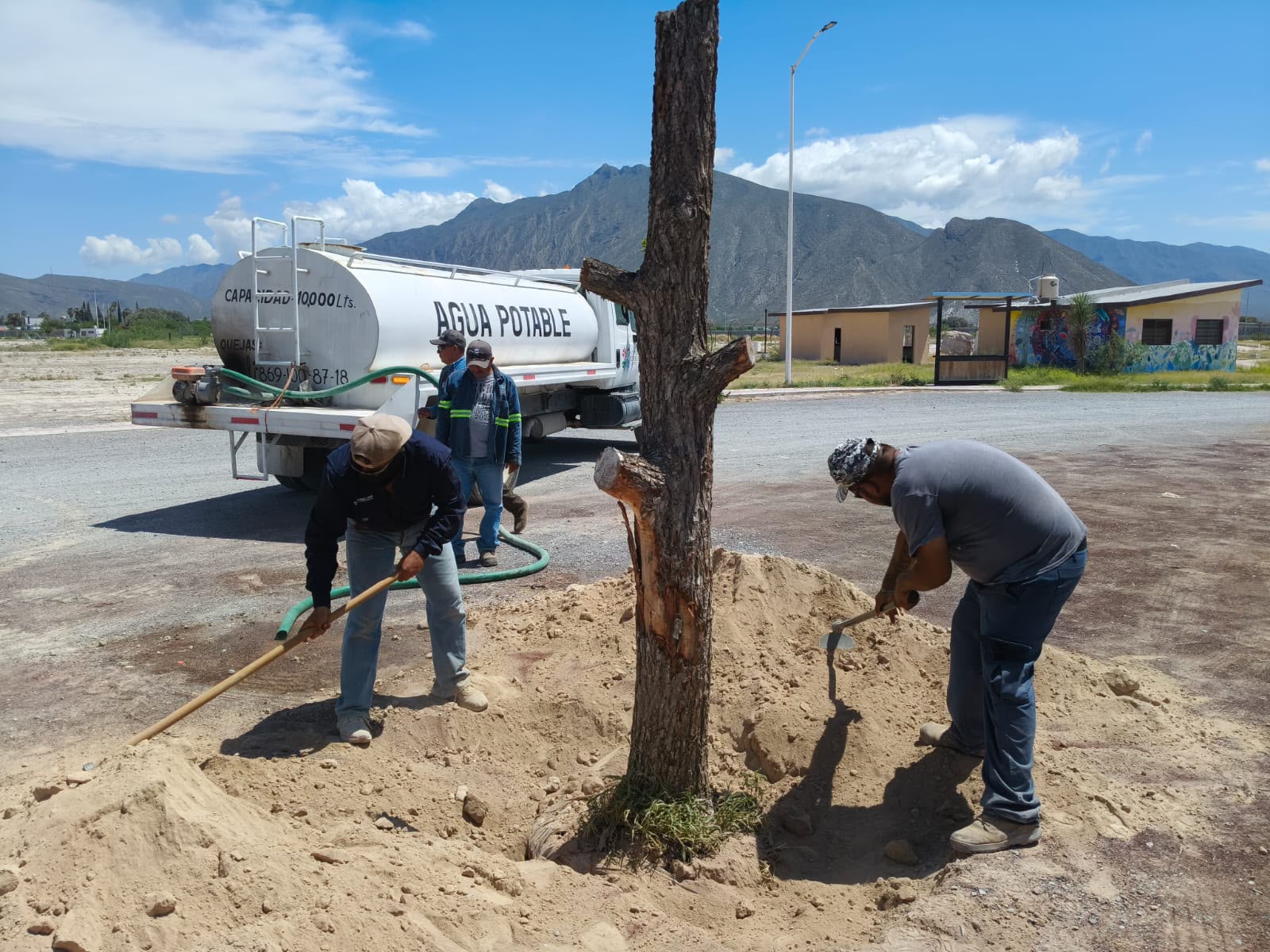 Unen esfuerzos para reforestar parque de Cuatro Ciénegas