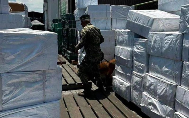 incautan 8.4 millones de cigarros apócrifos