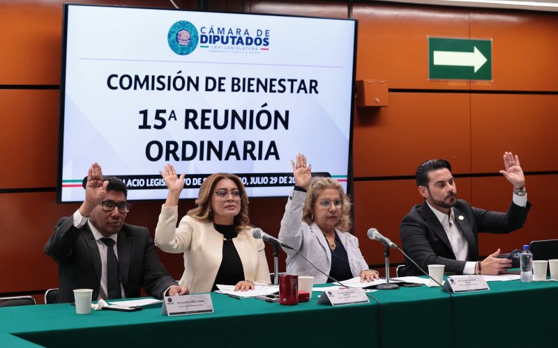 Comisión de Bienestar aprobó dictámenes en sentido negativo sobre canasta básica y programas sociales para personas con TEA