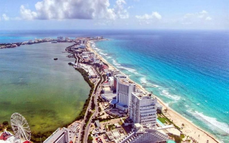 BUSCA VENDER DELFINES PARQUE ACUÁTICO EN BANCARROTA
