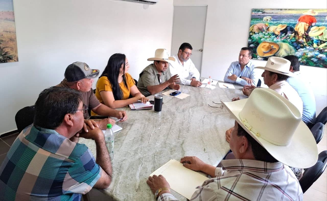 Coordinan lucha contra el gusano barrenador