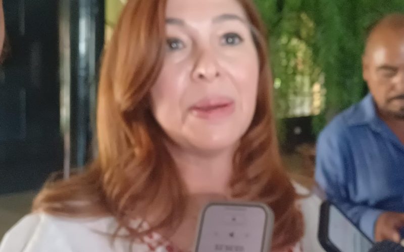 Buscarán expandirse formalmente en la región