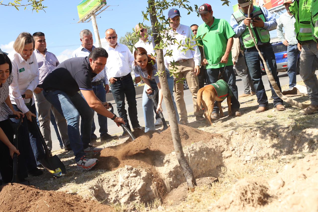 PLANTAN MÁS DE 100 MIL ÁRBOLES EN LOS 38 MUNICIPIOS DEL ESTADO