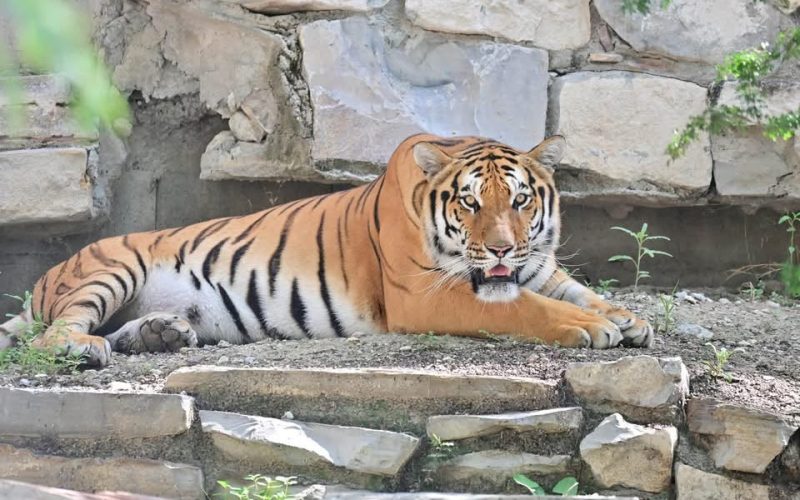 Más de 6 mil visitan Ecoparque Monclova