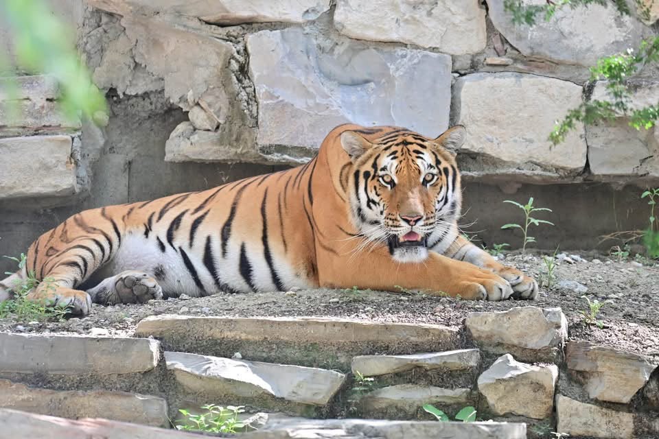 Más de 6 mil visitan Ecoparque Monclova