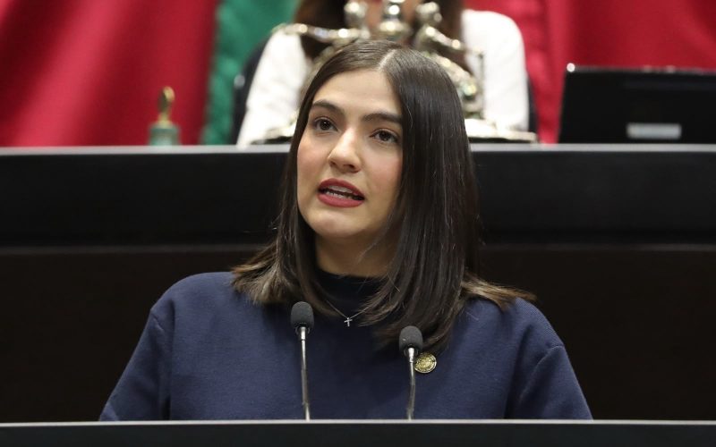 Necesario, prohibir procedimientos quirúrgicos, mutilaciones y alteraciones en animales de compañía