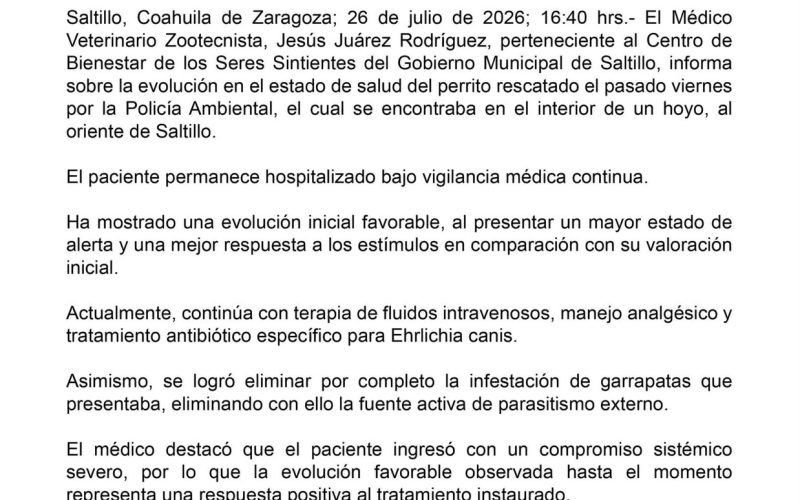 Favorable evolución del perrito rescatado en hoyo