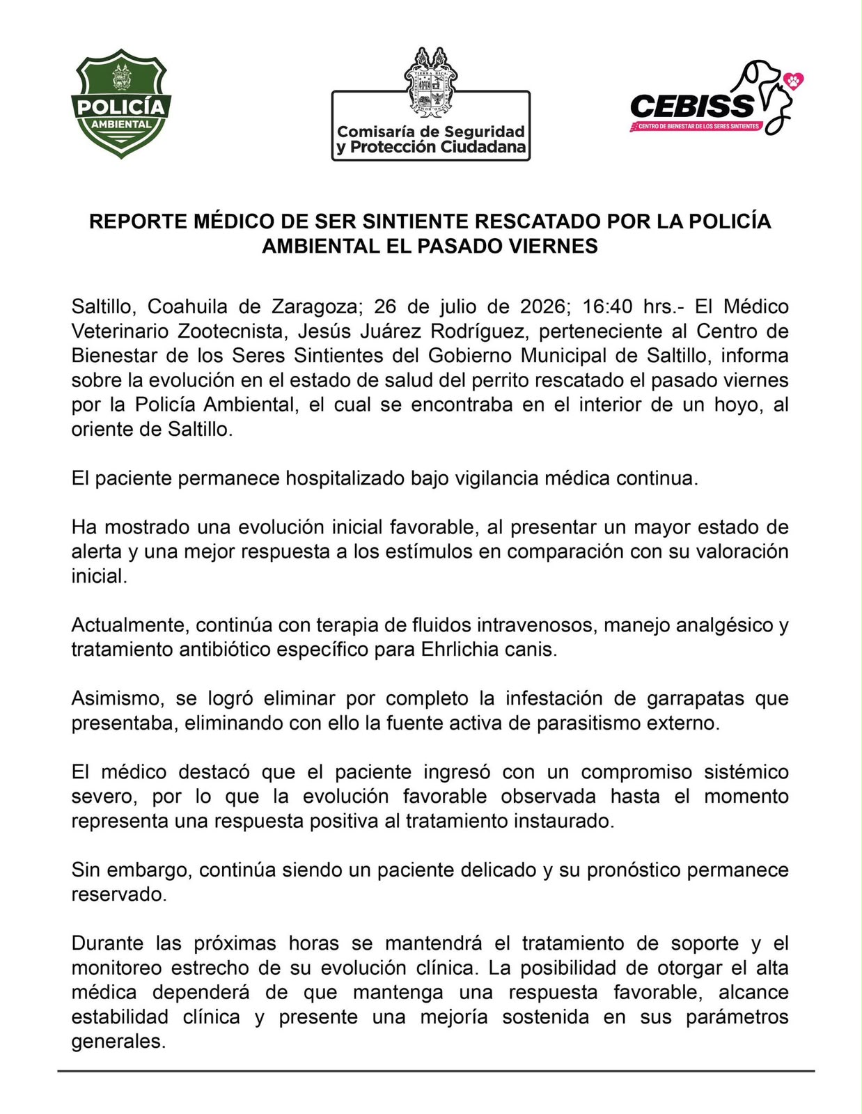 Favorable evolución del perrito rescatado en hoyo