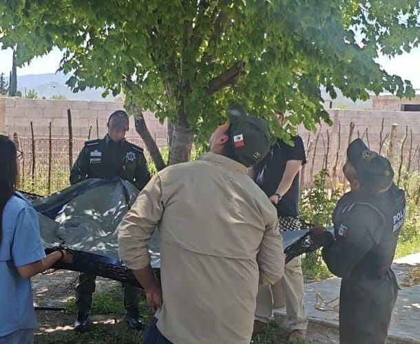Participa Policía Ambiental en rescate de oso en ejido Cuautla