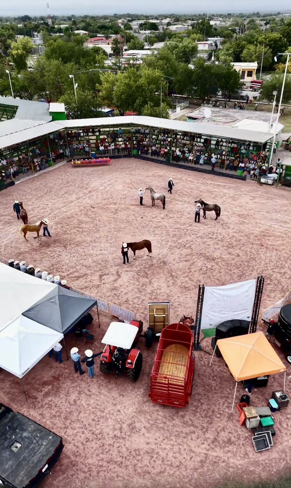 Realiza San Buena Concurso de Conformación de Caballos