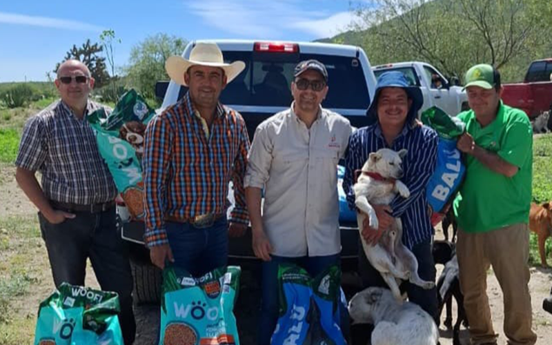 Suman esfuerzos Municipio y rescatistas por el bienestar animal