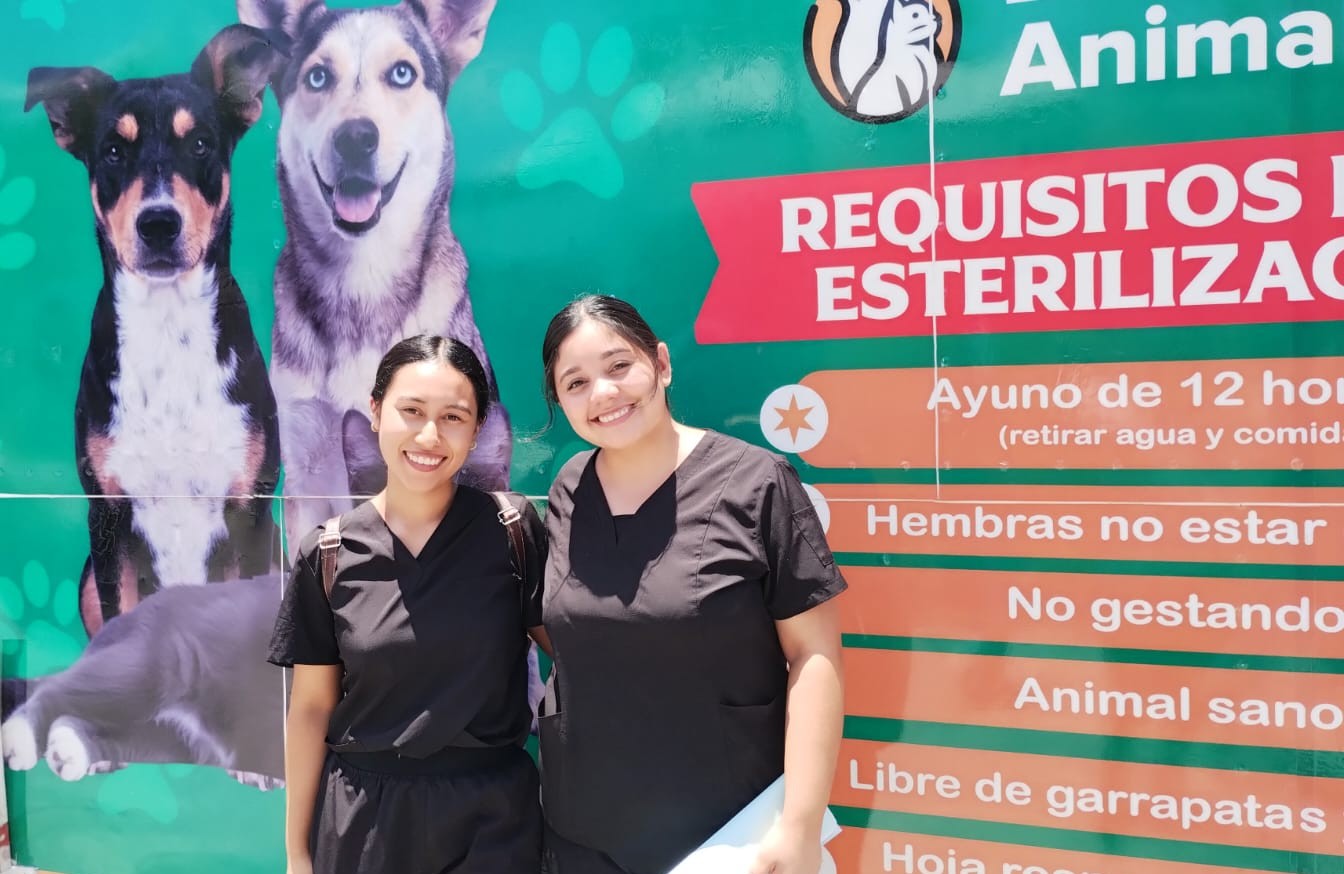 Previene esterilización males en las mascotas