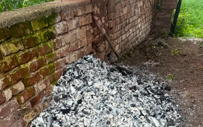 Madres Buscadoras de Jalisco hallan presunto crematorio clandestino, piden apoyo a Sheinbaum: “Estamos desesperadas”