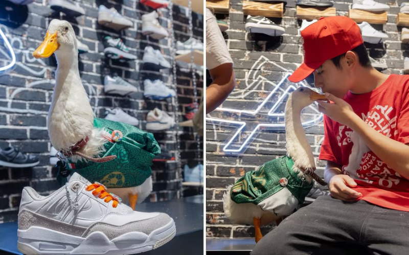 Pato Merlín da el salto al mundo de la moda al lanzar sus tenis