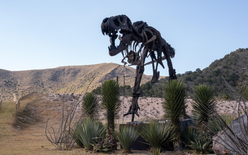 CON SUS 8 PUEBLOS MÁGICOS, COAHUILA SORPRENDE CON EXPERIENCIAS ÚNICAS