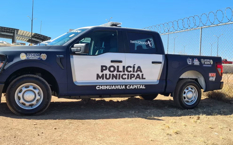 Hallan cinco cuerpos con signos de violencia en carretera de la Sierra Tarahumara, Chihuahua: investigan disputa entre grupos criminales