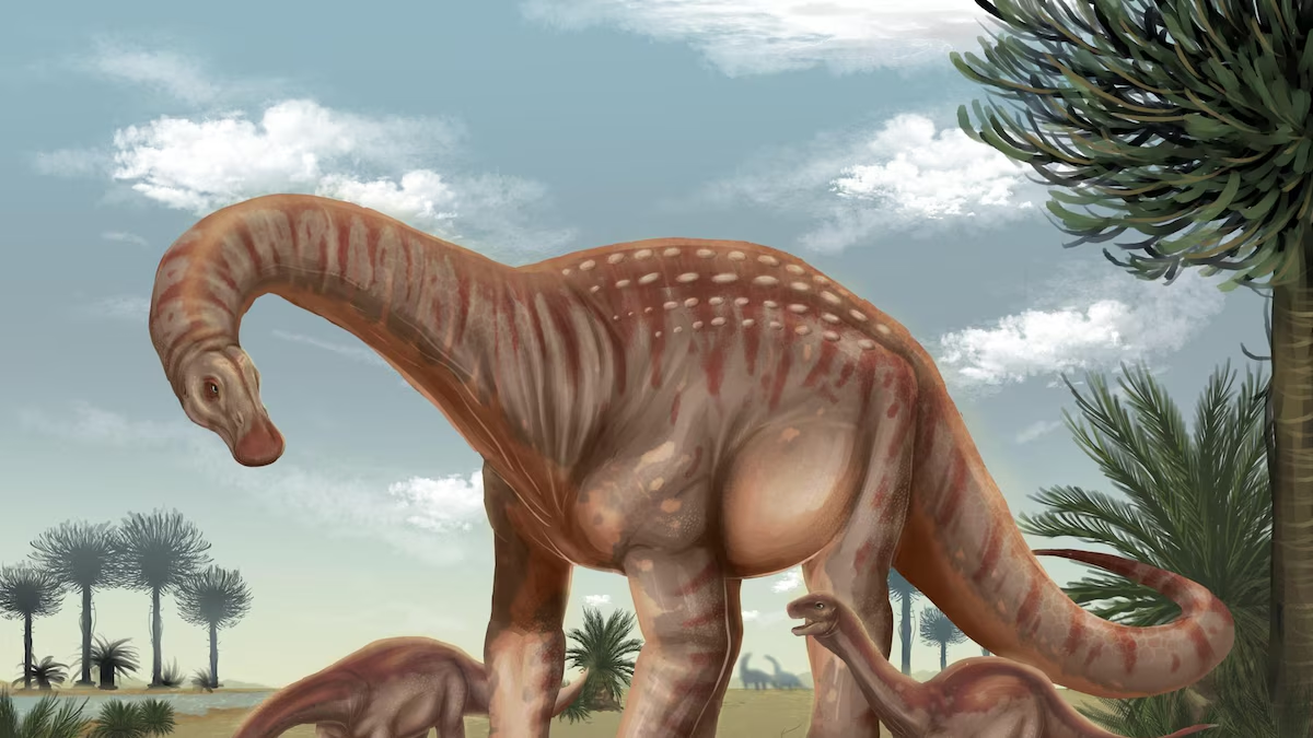 Uruguay descubre al ‘Mesetasaurus protector’, dinosaurio que vivió hace 80 millones de años