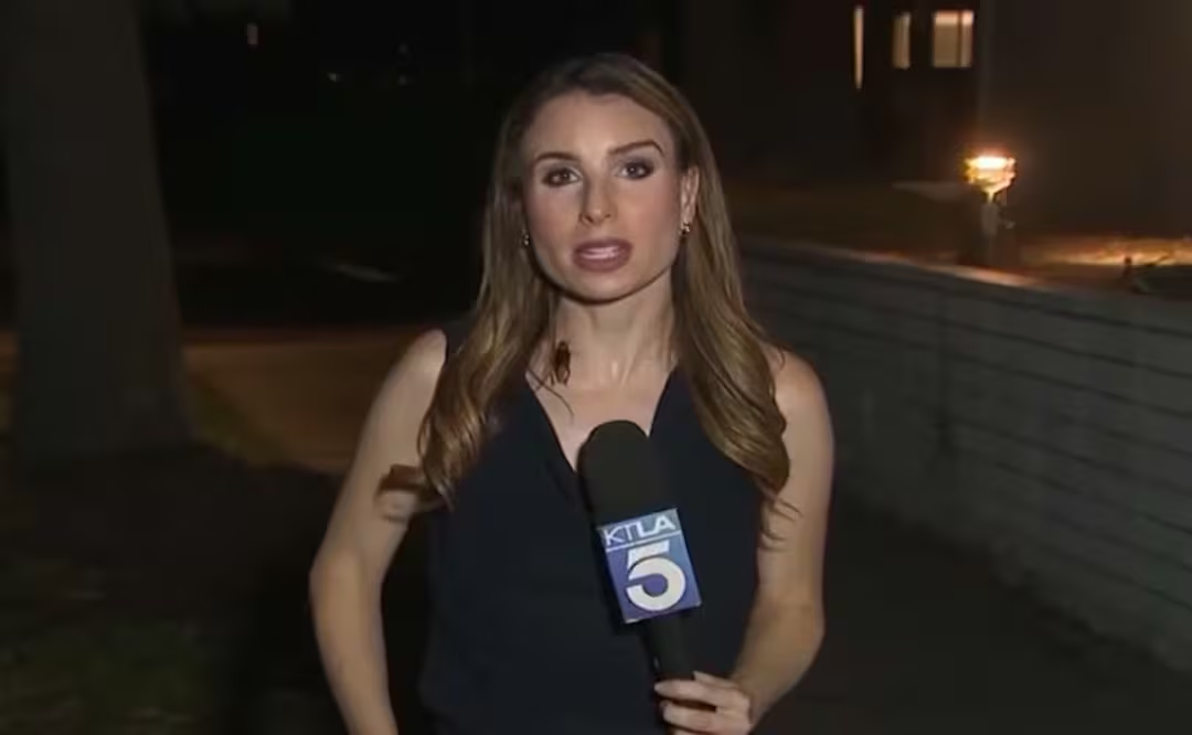 VIDEO: Enorme cucaracha se posa sobre periodista durante transmisión en vivo en California; intentó “robar protagonismo”, bromea reportera