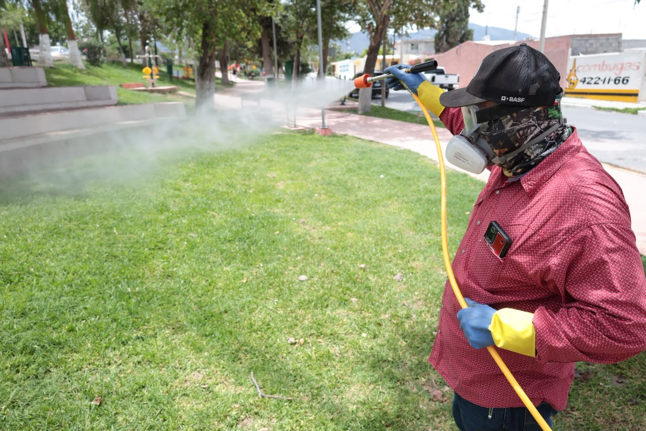Impulsa Parras fumigación integral contra el dengue