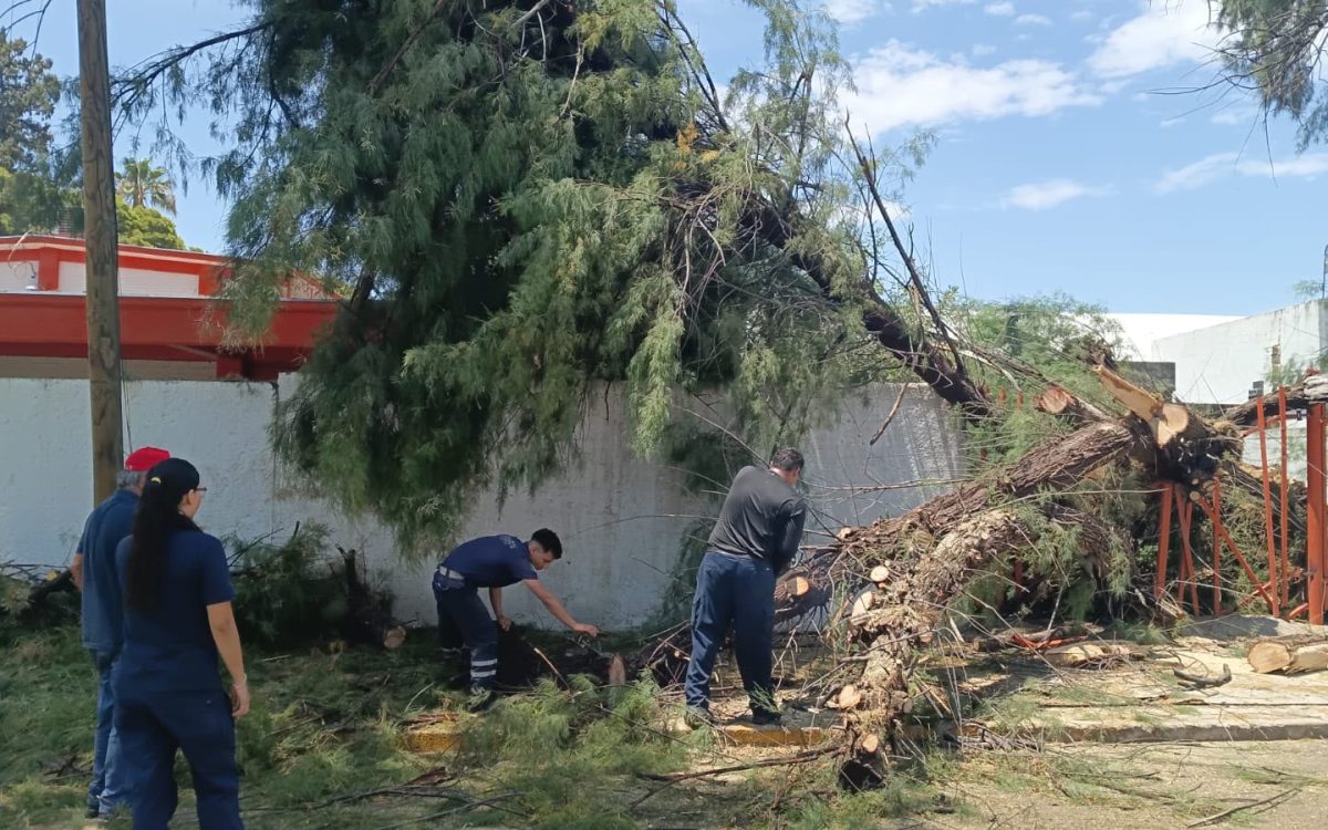 ATIENDE PROTECCIÓN CIVIL Y BOMBEROS AFECTACIONES POR LLUVIAS