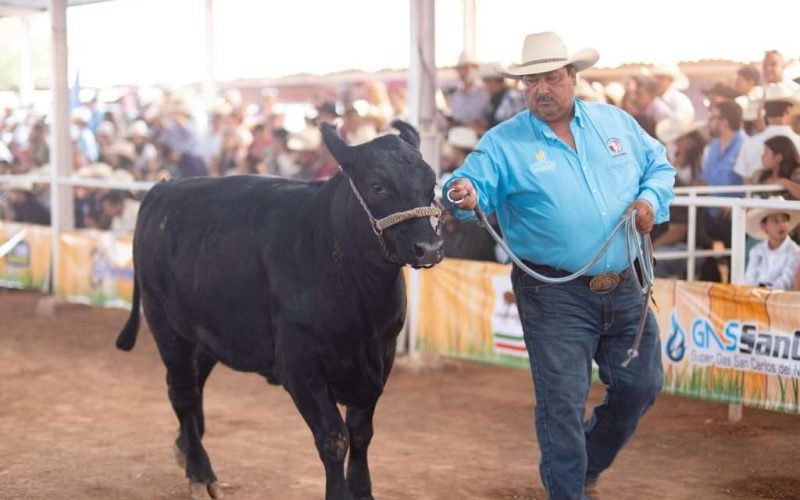 Todo listo para el 44 Concurso del Becerro Gordo en Sabinas