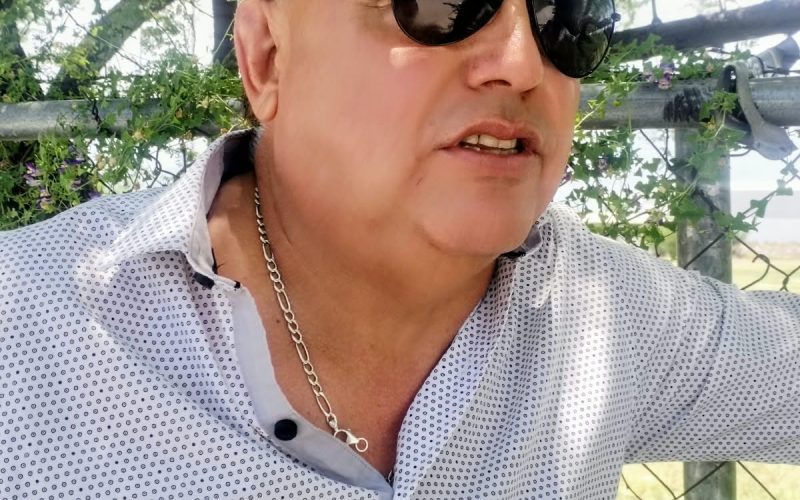 Impugnación no arriesga subasta de Altos Hornos