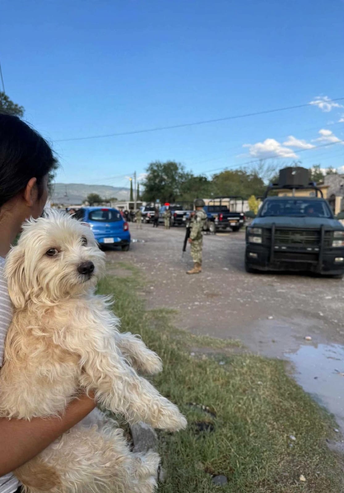 Rescatan a decenas de perros en Castaños