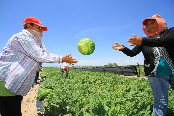 Destina Conagua 16 MDP para el campo de Coahuila