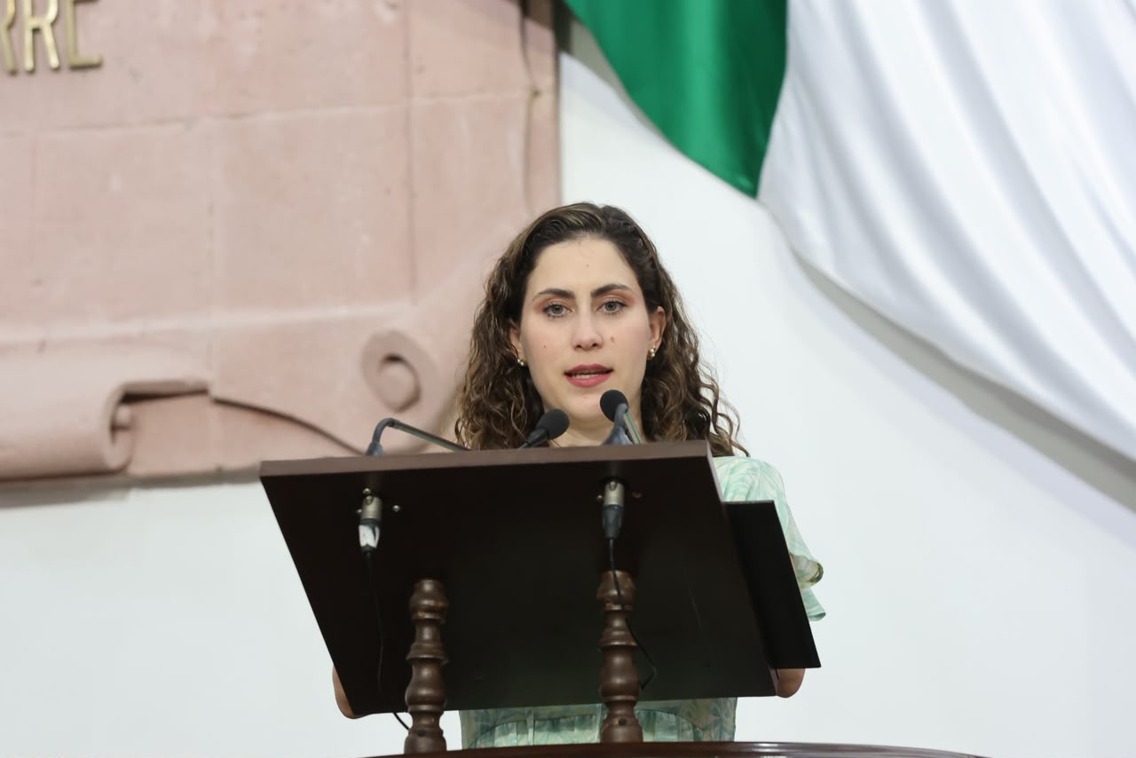 Congreso pide campañas sobre salud mental perinatal