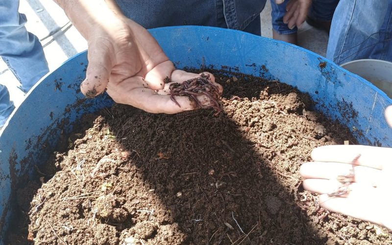 Impulsa Frontera métodos para fortalecer al campo