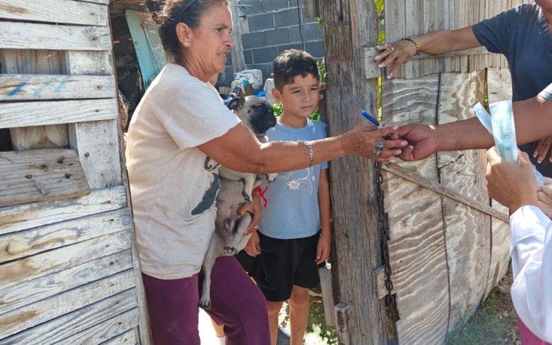 Frenan riesgo de garrapatas con operativo en Frontera