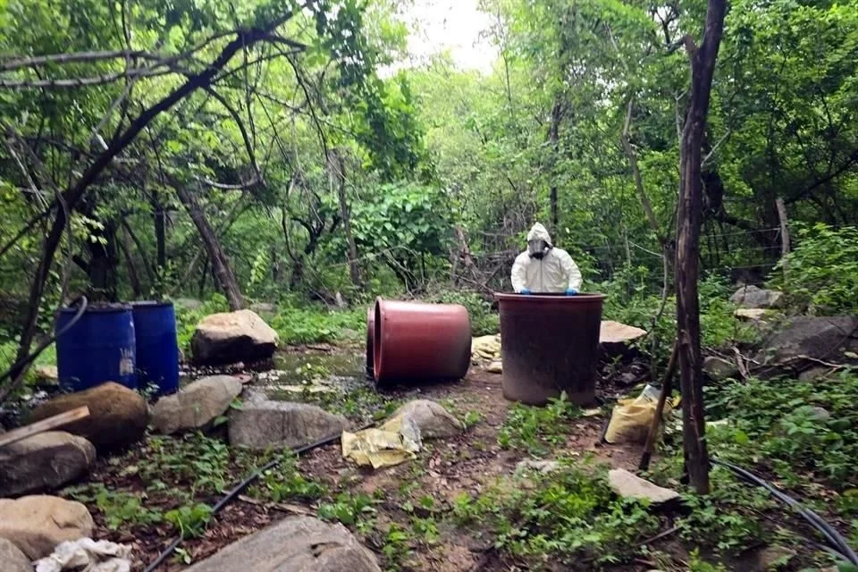 Inhabilita Marina tres narcolaboratorios en Sinaloa