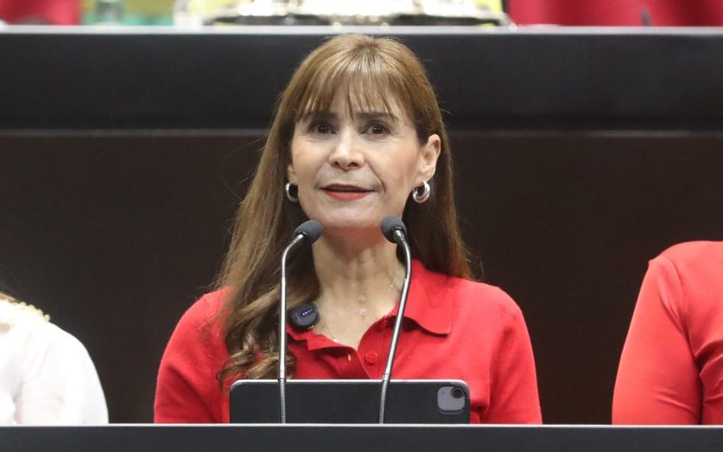 Iniciativa propone prohibir la posesión y reproducción de fauna silvestre como mascotas para su comercialización