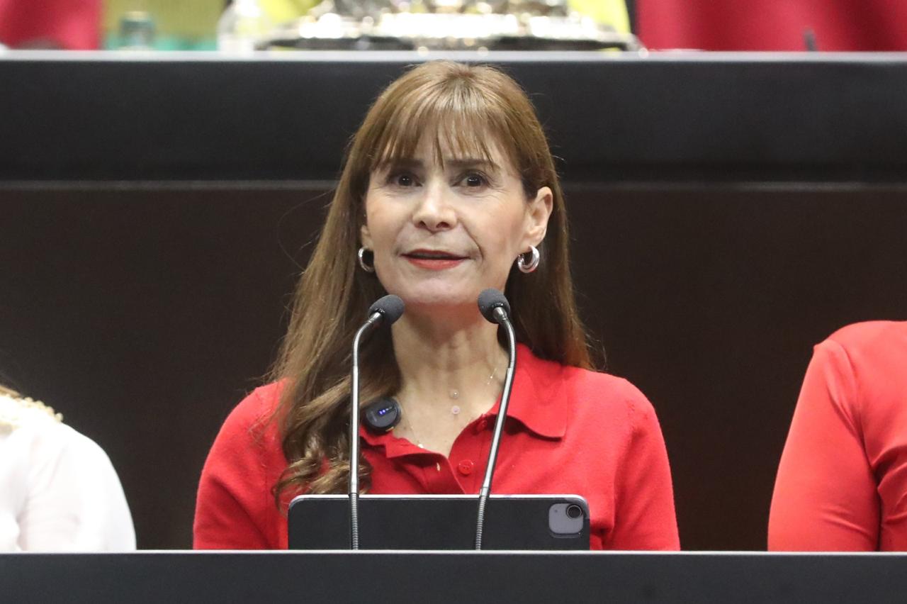 Iniciativa propone prohibir la posesión y reproducción de fauna silvestre como mascotas para su comercialización