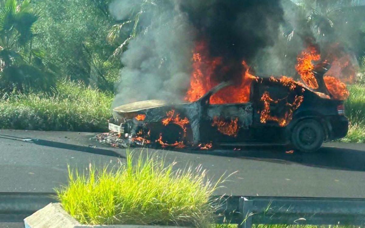 Arde auto en plena carretera; conductor logra escapar ileso
