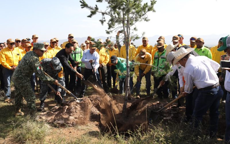 FORTALECEN RESTAURACIÓN Y PROTECCIÓN DE ECOSISTEMAS