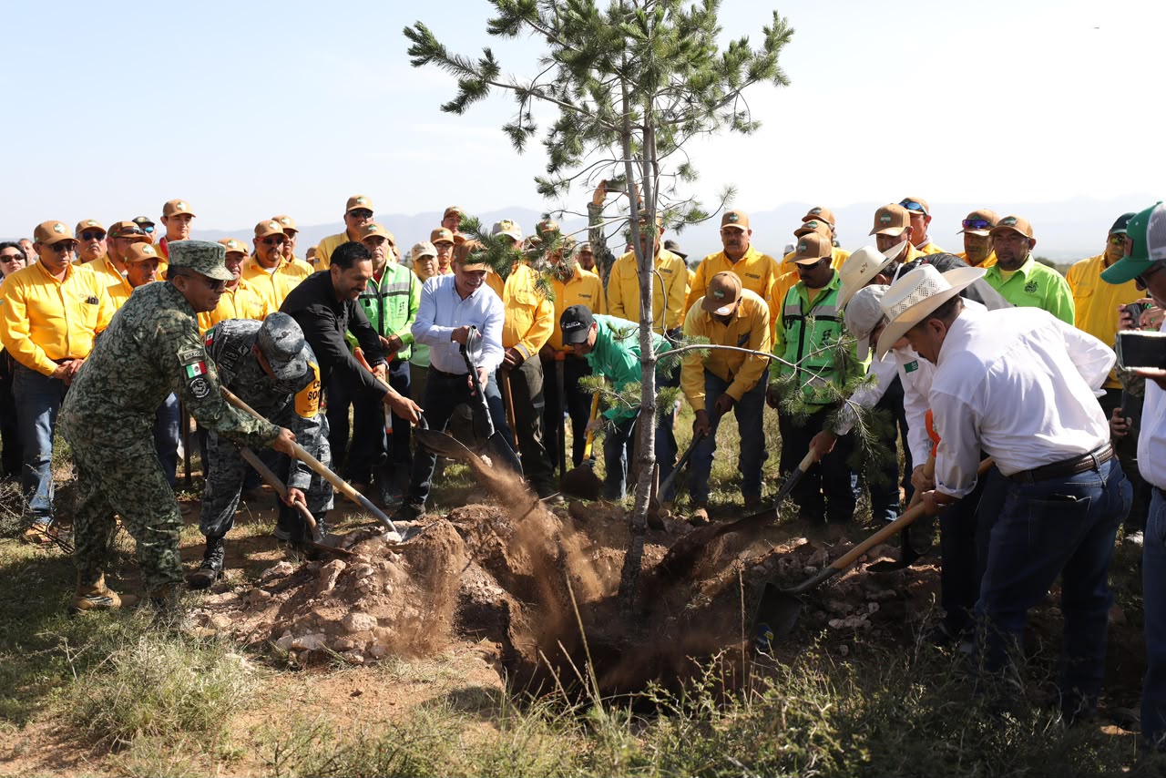 FORTALECEN RESTAURACIÓN Y PROTECCIÓN DE ECOSISTEMAS