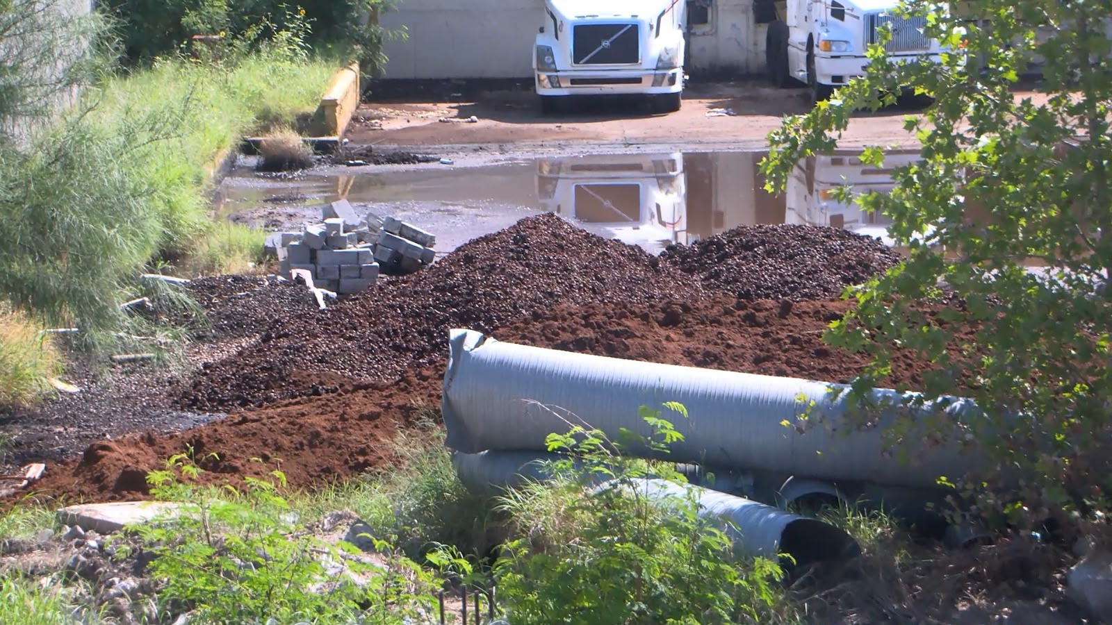 Amenazan con clausurar procesadora por olores