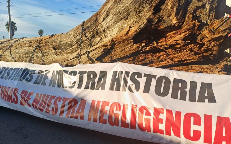 Marchan por el rescate y protección del Río Sabinas