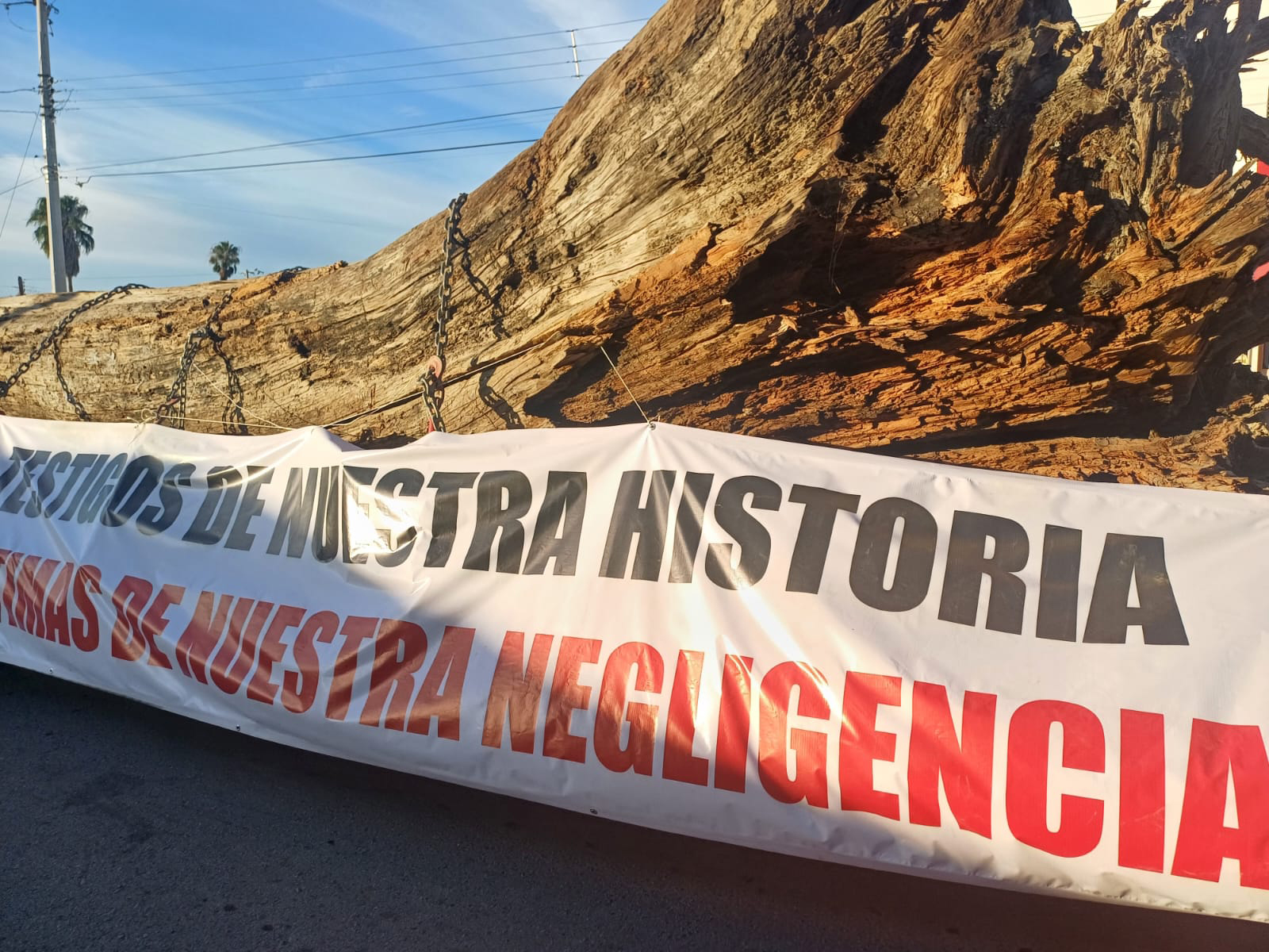 Marchan por el rescate y protección del Río Sabinas