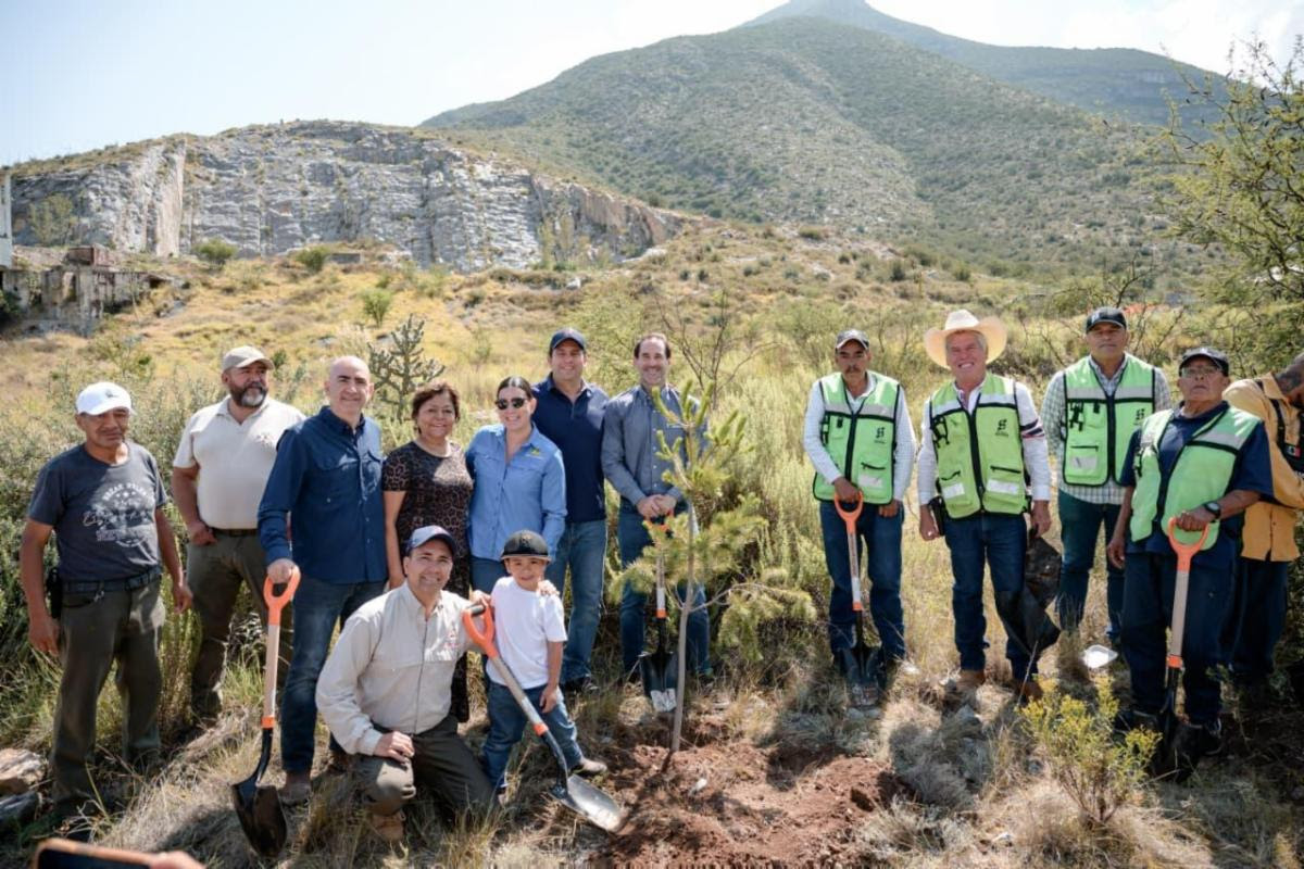 Plantarán 5 mil pinos en el Cañón de San Lorenzo