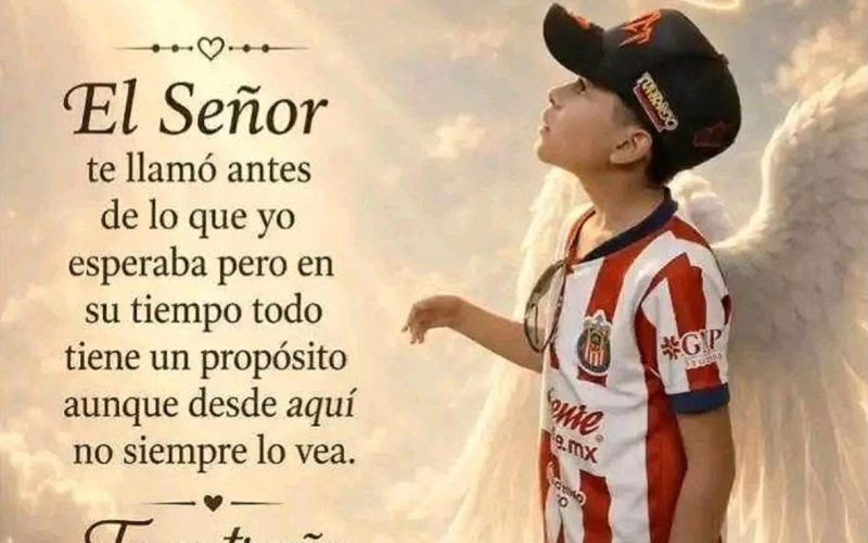 Consterna muerte de Dylan; investigan si fue rickettsia