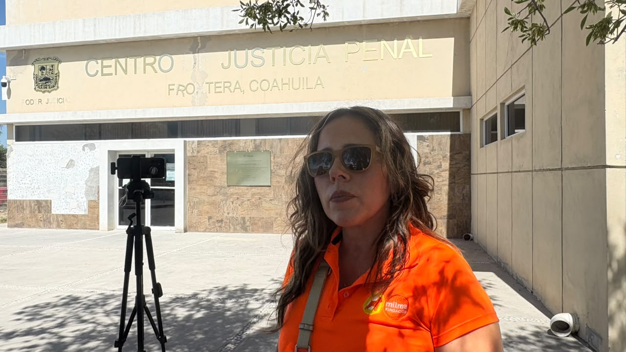 Quince perros siguen  sin ser localizados