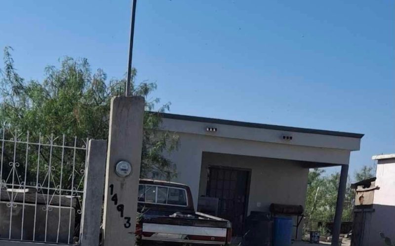 Reportan perros en dos domicilios ligados a Frichem