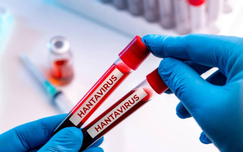 Aíslan en España a turista tras dar positivo a hantavirus; visitó Francia durante julio
