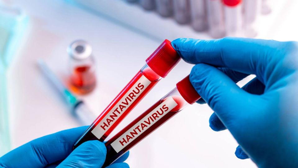 Aíslan en España a turista tras dar positivo a hantavirus; visitó Francia durante julio