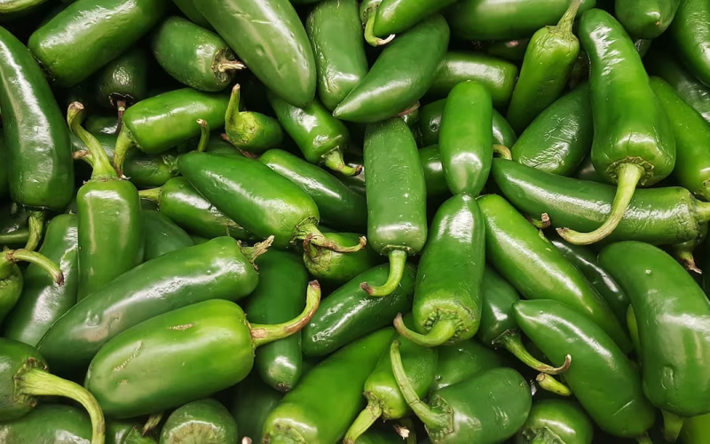 Sinaloa investiga posible origen de chile contaminado que provocó brote de salmonelosis en EU; entidad destaca por estrictos controles sanitarios